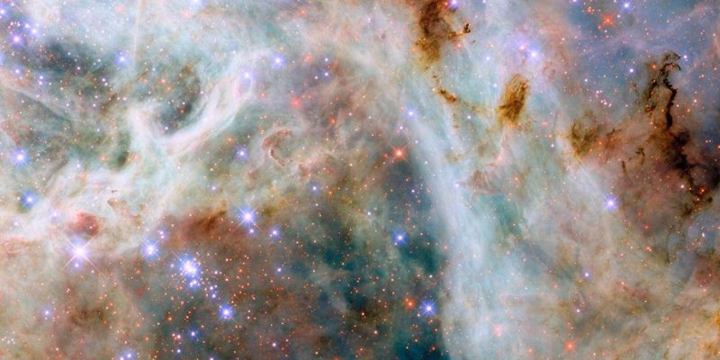 Hubble_LMC_TarantulaNebula_potw2506a.jpg