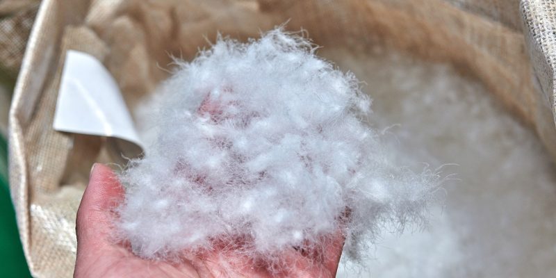 White-goose-down-feather-burlap-sack-GettyImages-1478950921-Comezora-cropped.jpg