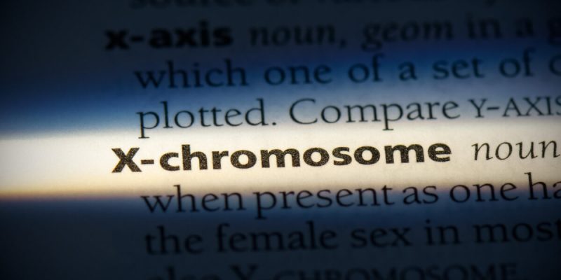 chromosome-scaled.jpg