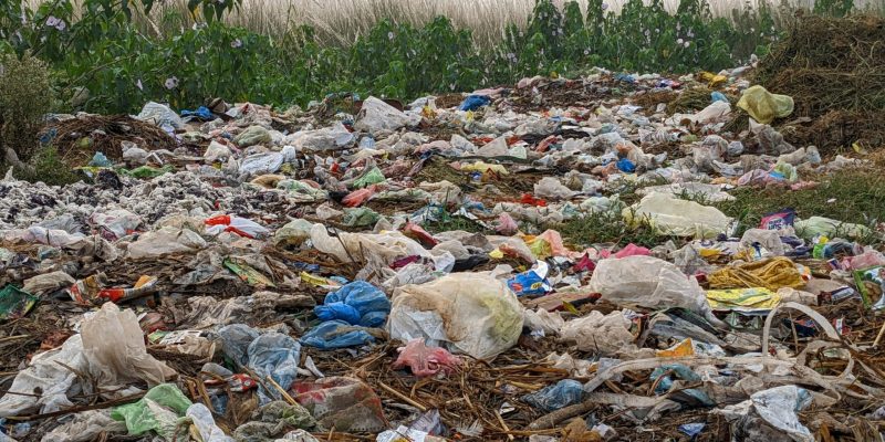 plastic-bags-at-dump.jpg